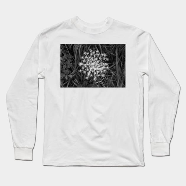 Seed Pod Black and White Long Sleeve T-Shirt by andykazie